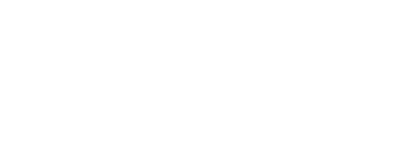 ValiantCEO